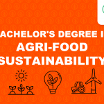 agri-food sustainability