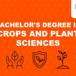 crops plant sciences